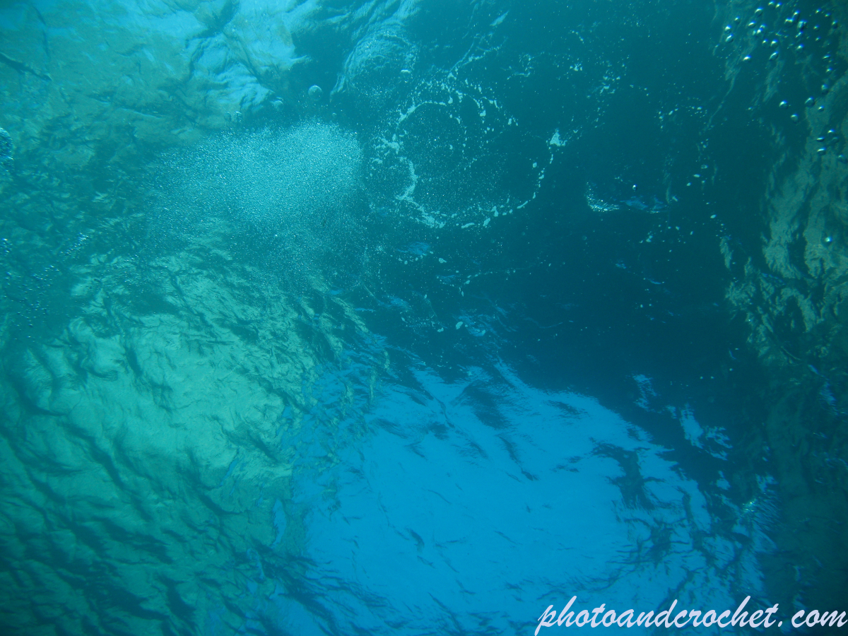 Aquatic Background - Image