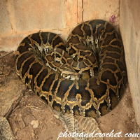 Python - Let her sleep