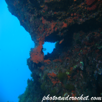 Aquatic Background - Seascape