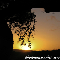 Framed Sunset Through Tree Branches Between Xemxija and Mellieha