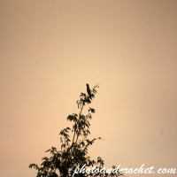 Għasfur Ikanta fin-Nżul ix-Xemx