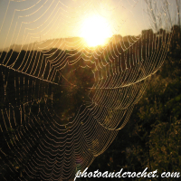 พระอาทิตย์ขึ้นผ่านใยแมงมุม