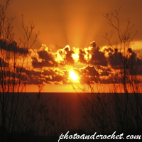 Sunset Through Bushes at Mount Żnuber