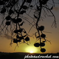 Tal-Avvenimenti Naturali