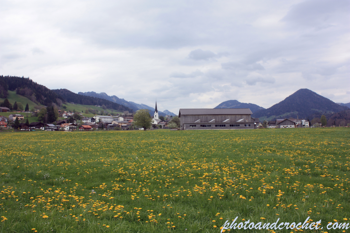 Bregenz Forest - Image