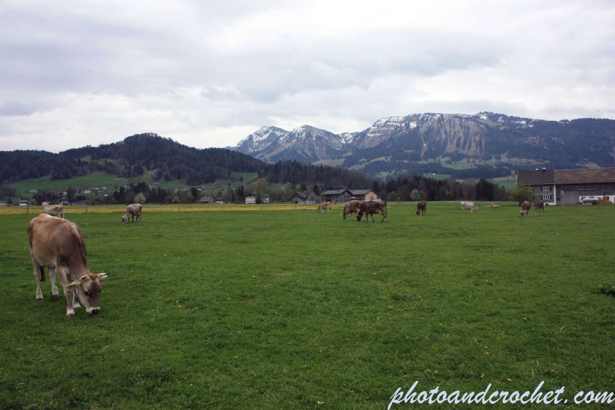 Bregenz Forest - Image