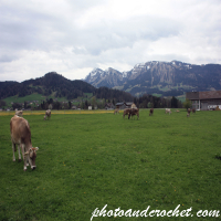 Bregenz Forest - Image