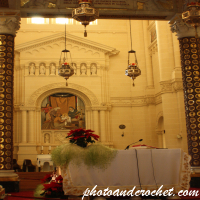 Ta Pinu Cathedral - Image