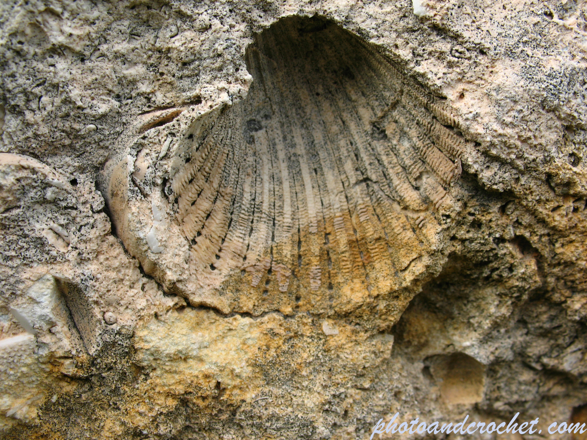 Dwejra Lines - Image