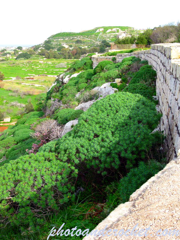 Dwejra Lines - Image