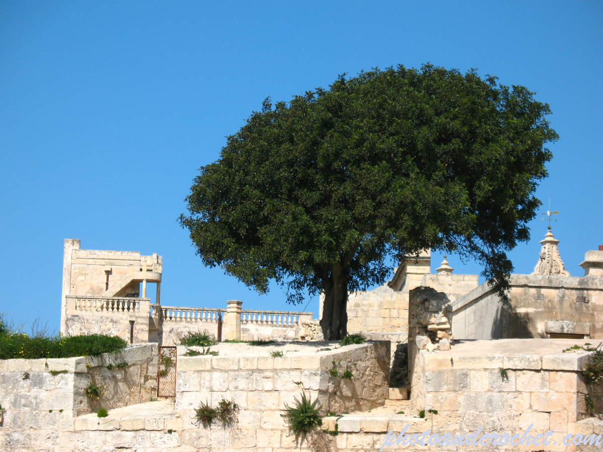 Mdina - Image