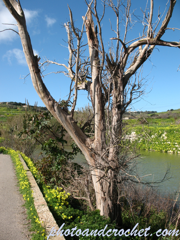 Chadwick Lakes - Image
