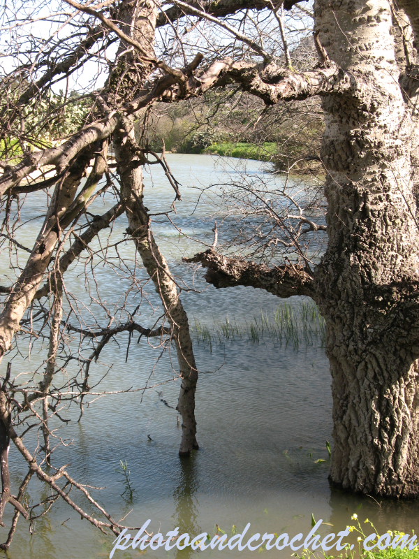 Chadwick Lakes - Image
