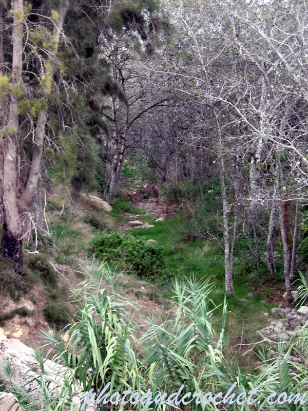 Chadwick Lakes - Image