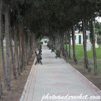Chinese Garden - Image
