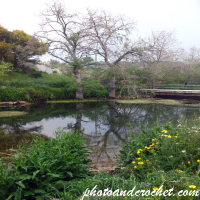 Chadwick Lakes - Image