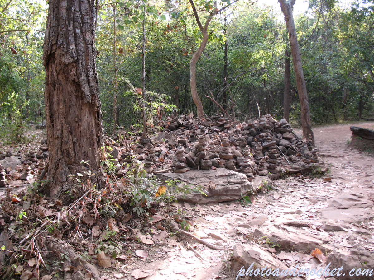 Phu Kradueng - Image