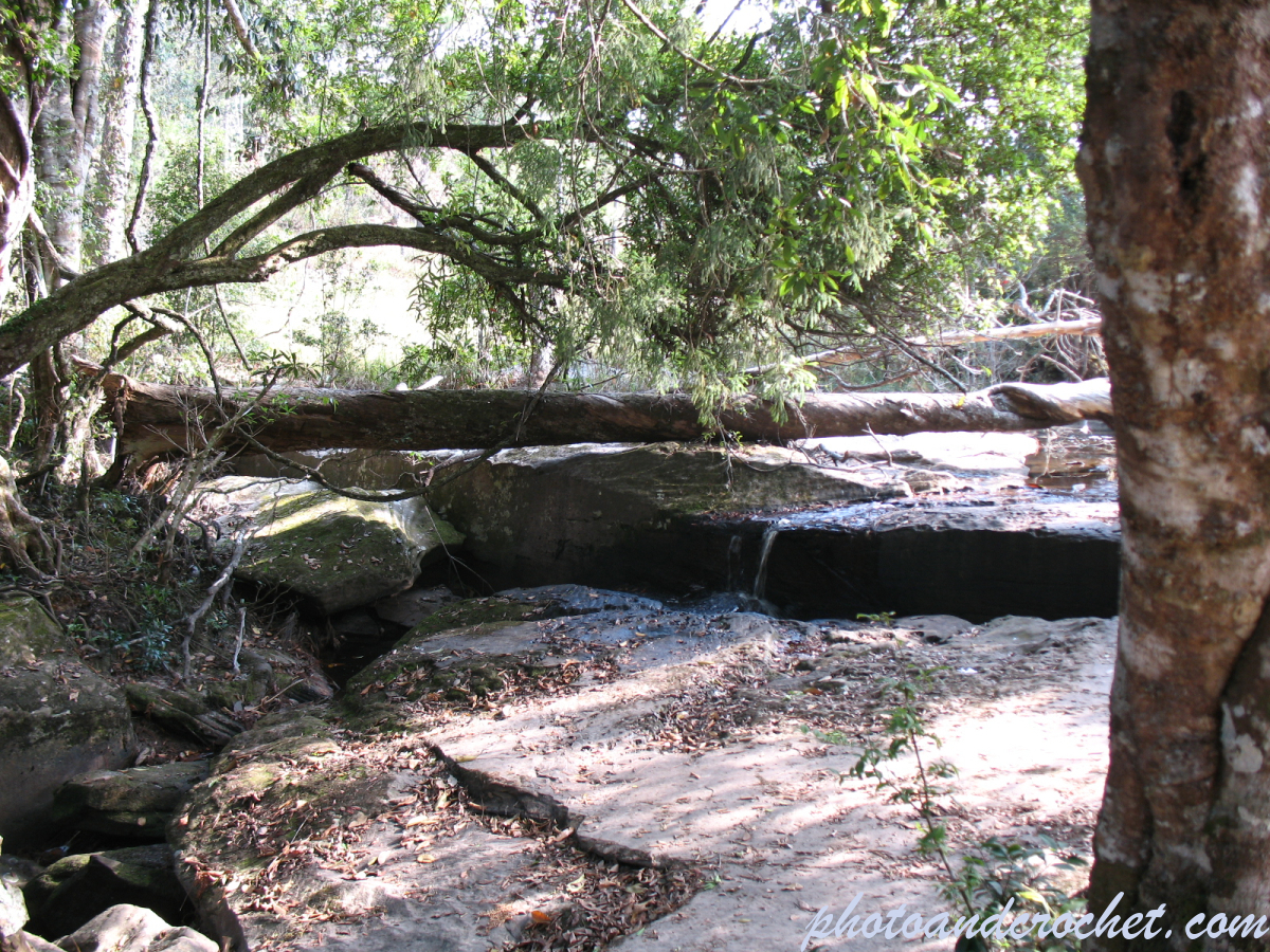 Phu Kradueng - Image