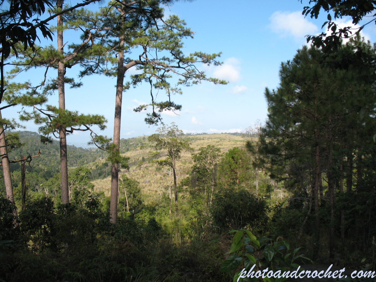 Phu Kradueng - Image