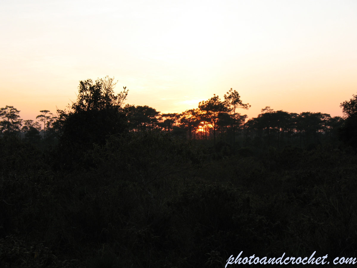 Phu Kradueng - Image