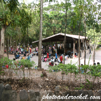 Phu Kradueng National Park
