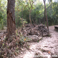 Phu Kradueng - Image