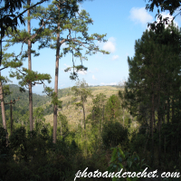 Phu Kradueng National Park