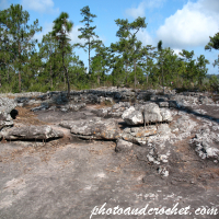Phu Kradueng National Park