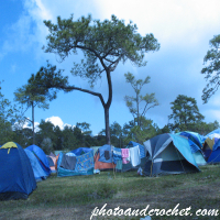 Phu Kradueng National Park