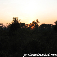 Phu Kradueng National Park