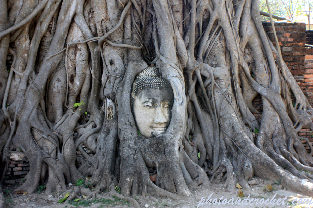 Wat Maha That - Image