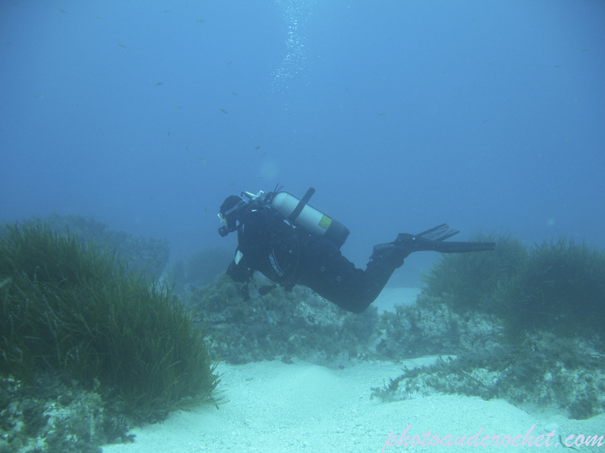 Diver - Image