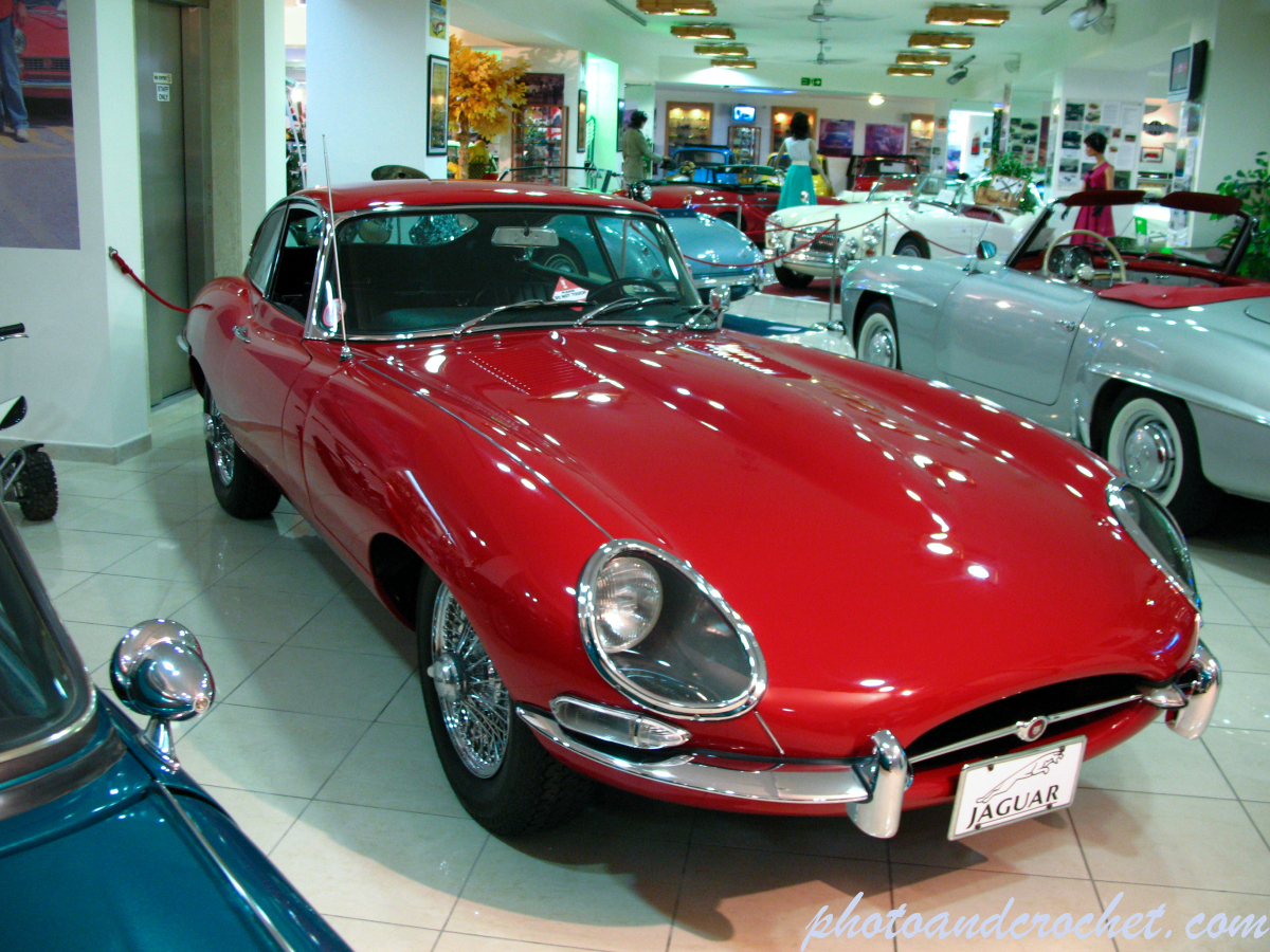 Jaguar 02 - Image