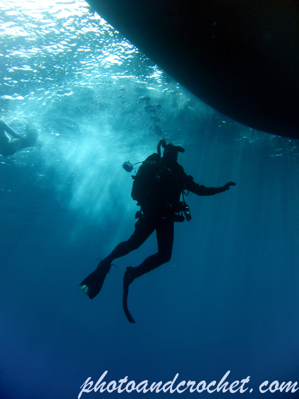 Diver - Image