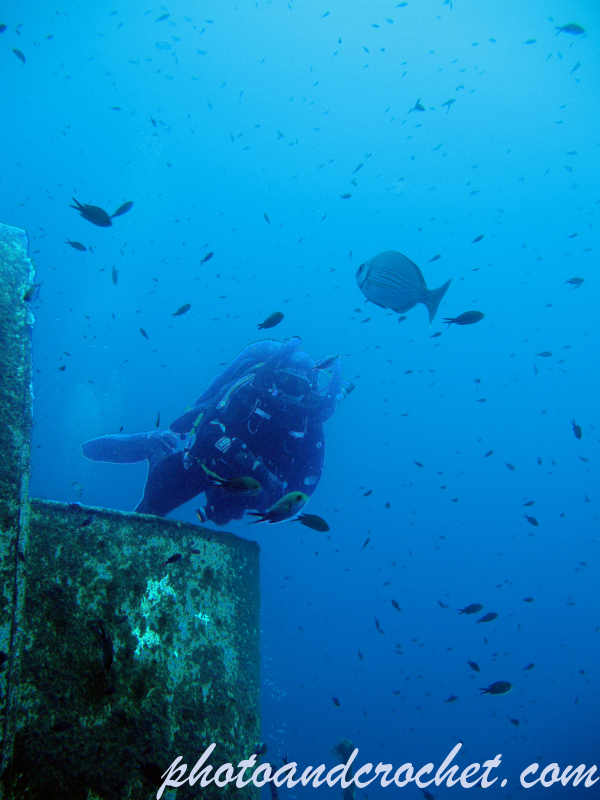 Diver - Image