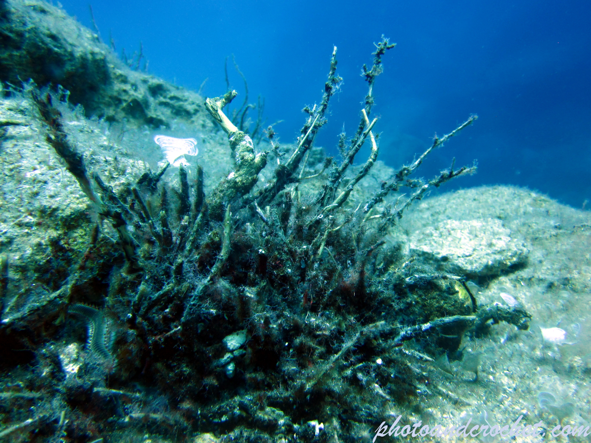 Azzure Window - Image