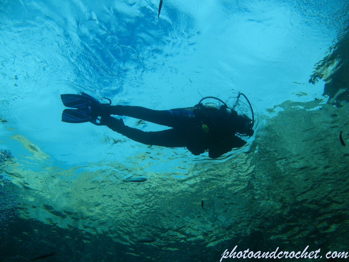 Diver - Image