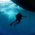 Diver - Image