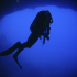 Diver - Image