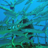 Barracudas - Image