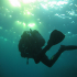 Diver - Image