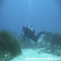 Diver - Image