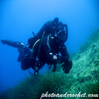 Diver - Image