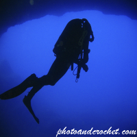 นักดำน้ำ – อัลบั้มภาพถ่ายใต้น้ำ