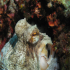 Octopus - Image