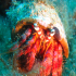 Hermit Crab - Image
