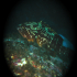 Grouper - Image