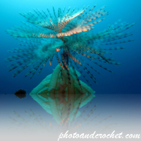 Underwater Art Photography