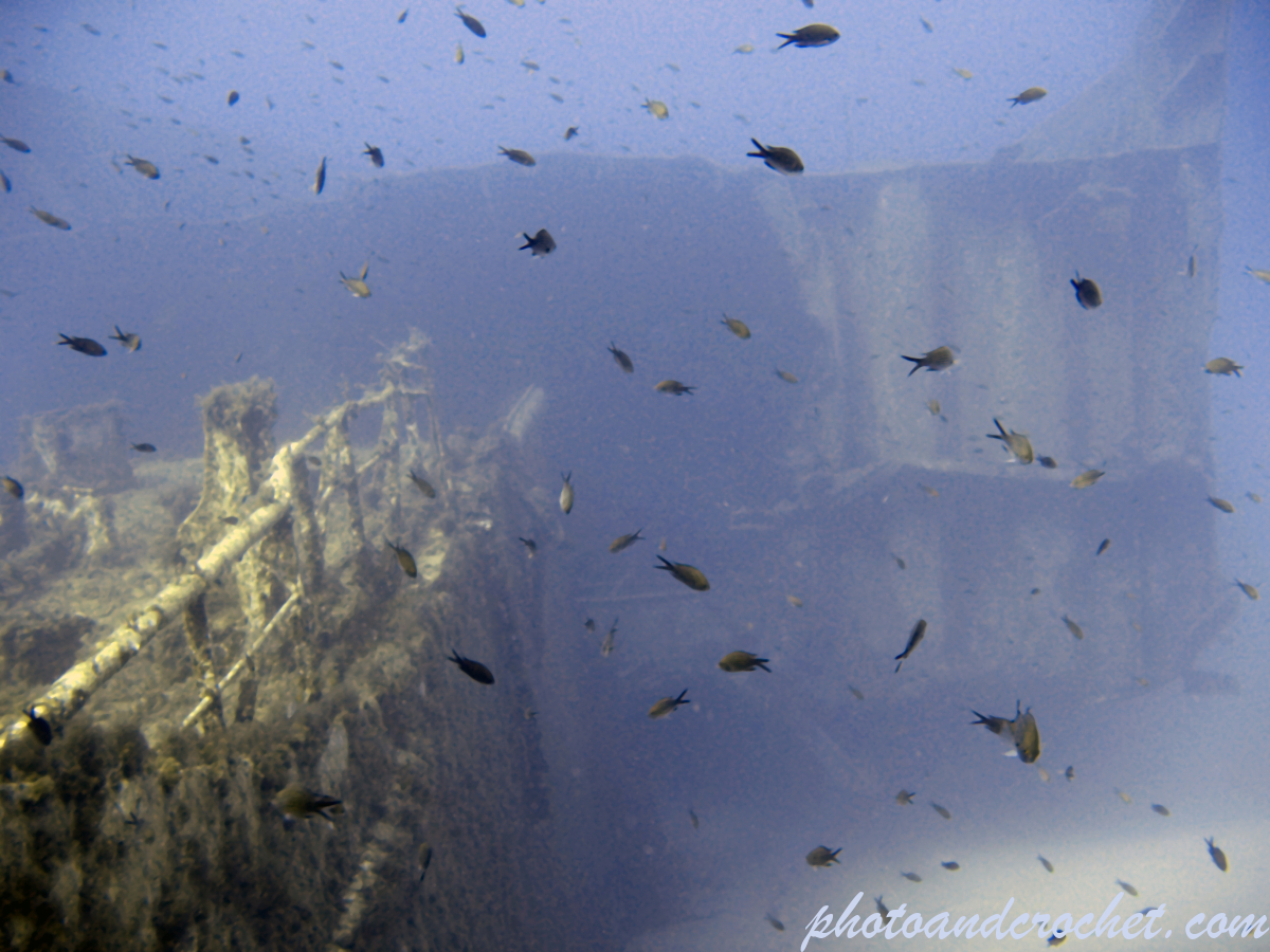 Um El - Faroud - Image