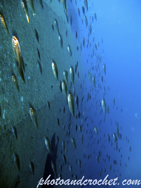 Um El - Faroud - Image